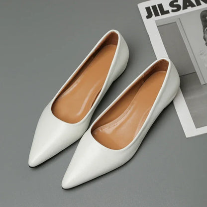 Zapatos de piel de punta fina