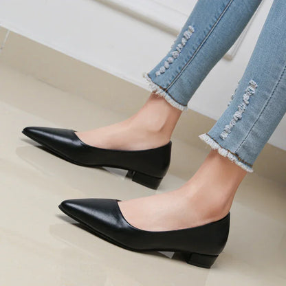 Zapatos de piel de punta fina