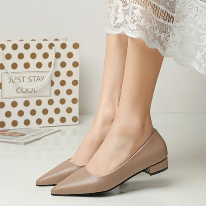 Zapatos de piel de punta fina