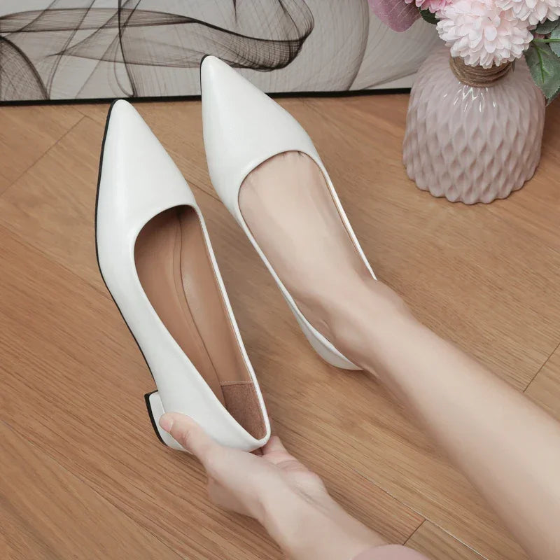 Pointed Toe Leather Shoes