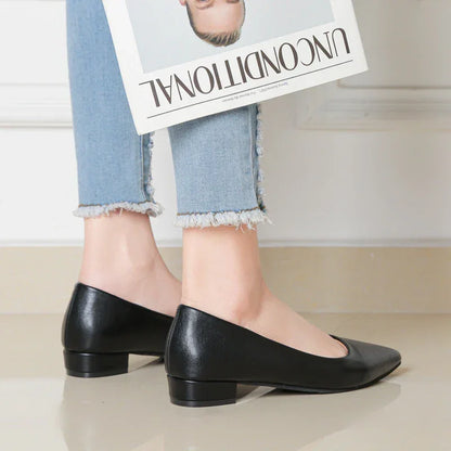 Zapatos de piel de punta fina
