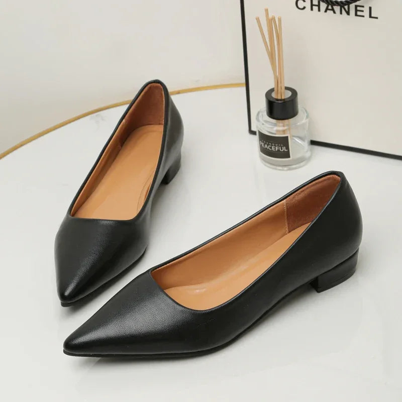 Pointed Toe Leather Shoes
