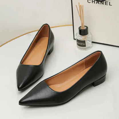 Zapatos de piel de punta fina